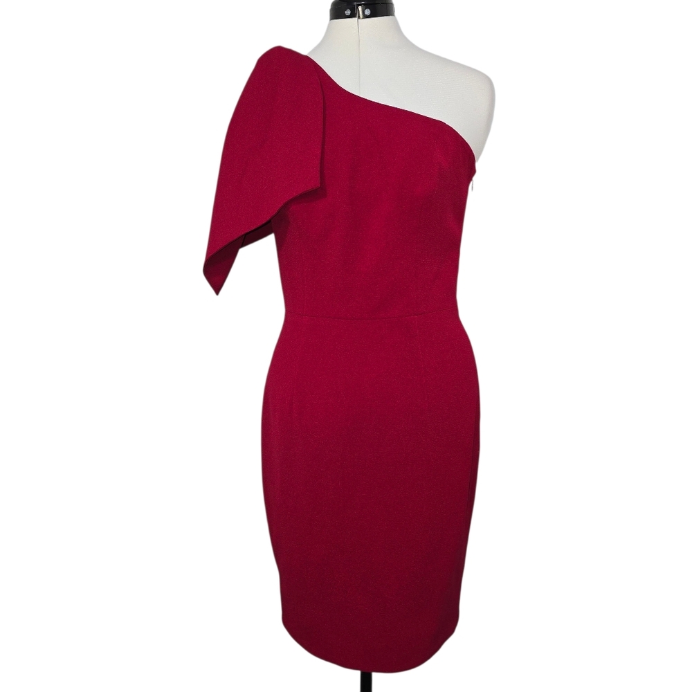 Dress the Population One-Shoulder Sheath Dress in Wine Red